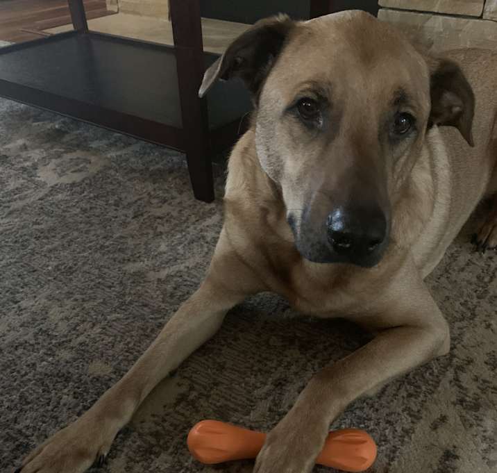 Photo of Timmy