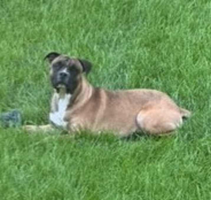 Photo of Deuce