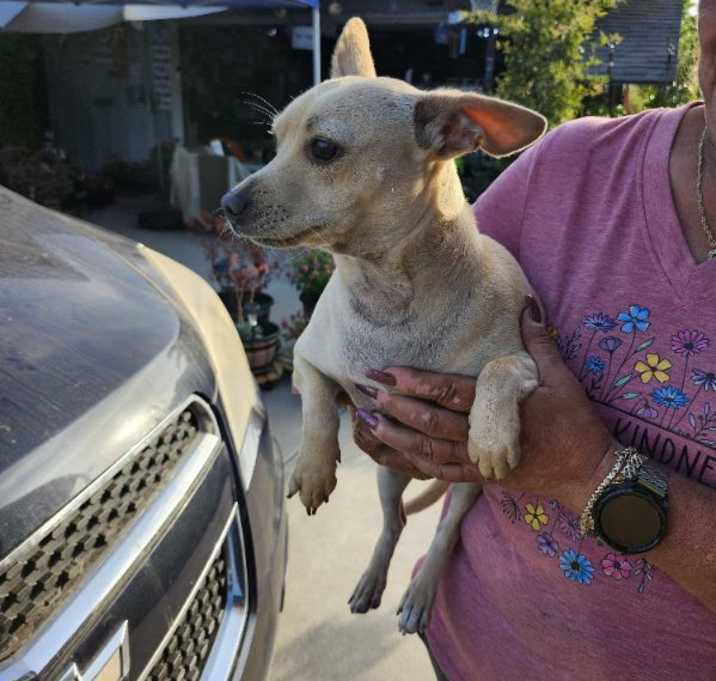 Photo of paco