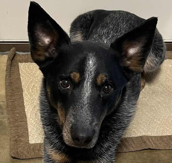 Photo of Zeke