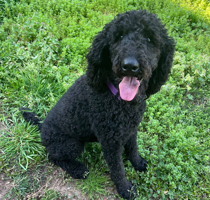 Photo of Vera 