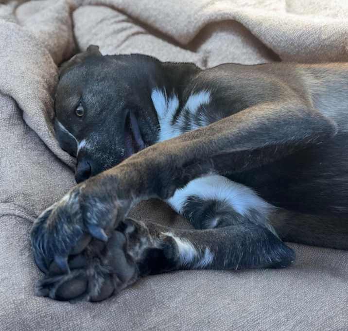 Photo of Yoshi