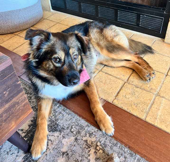 Photo of Kamiyah