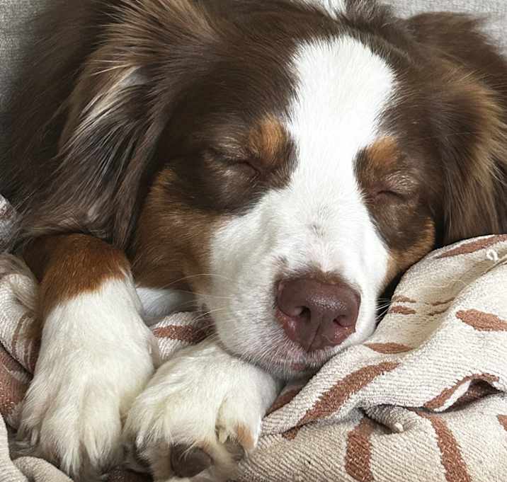 Photo of Gryffin