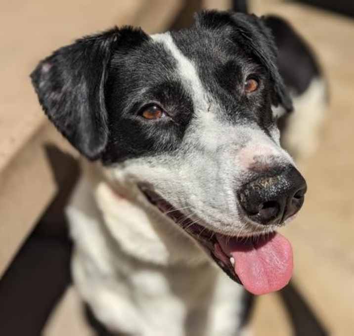Photo of Chloe