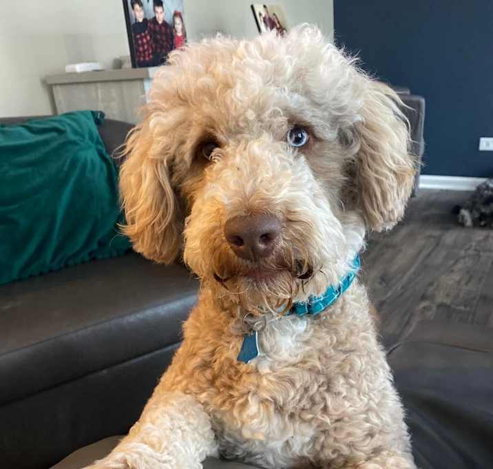 Photo of Charlie