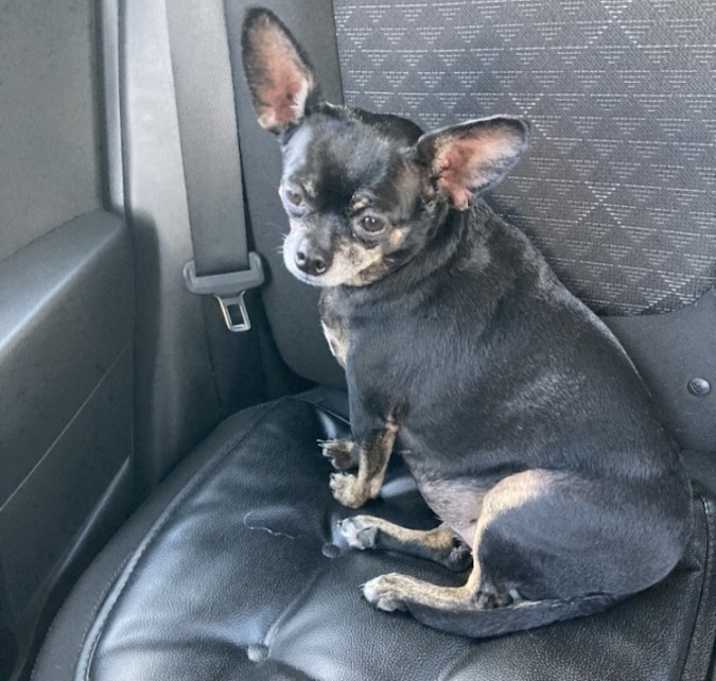 Photo of Frances
