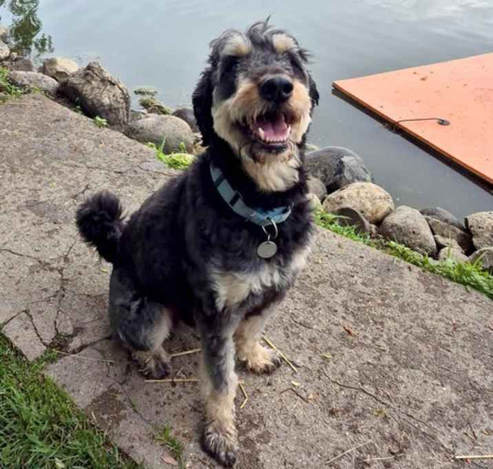 Photo of Odin