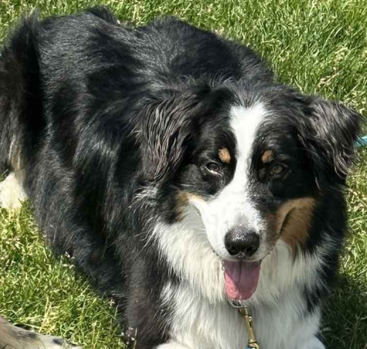 Photo of Luka
