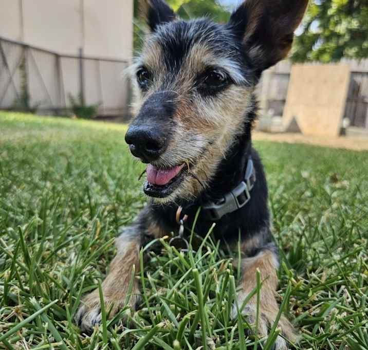 Photo of Tobi