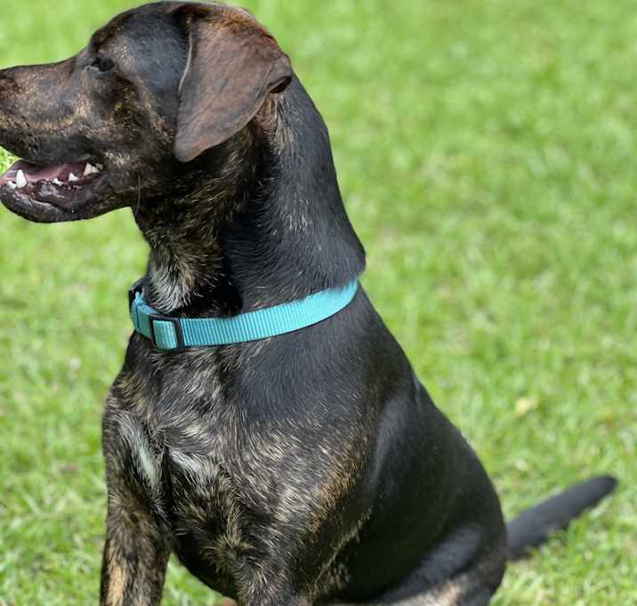 Photo of Waylon