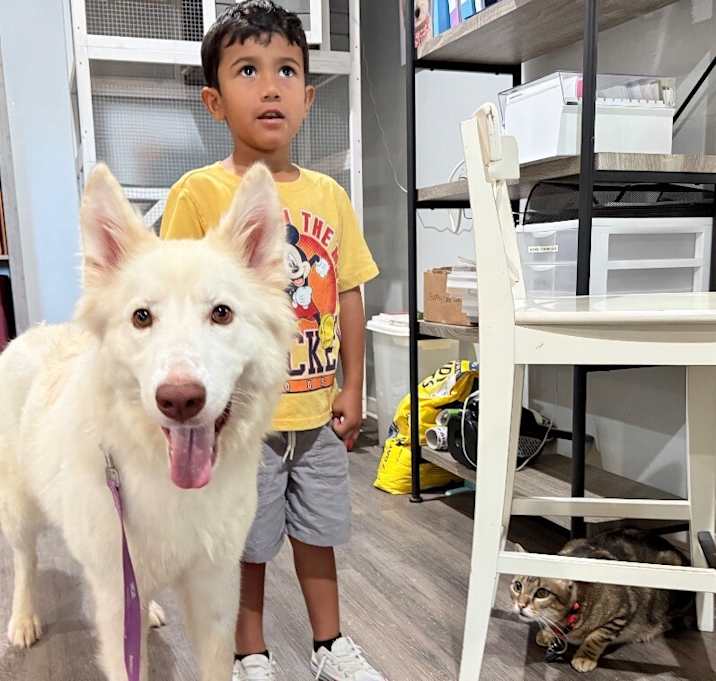 Photo of Vanilla Bean is such a sweetie and loves kids too!