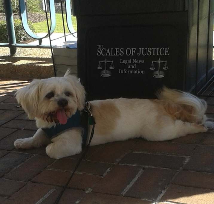 Photo of Cosmo