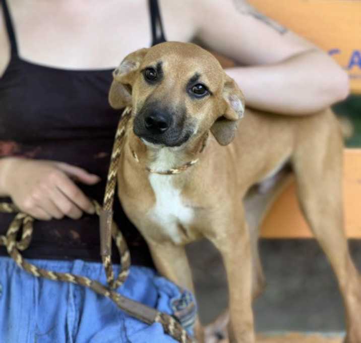 Photo of Buddy