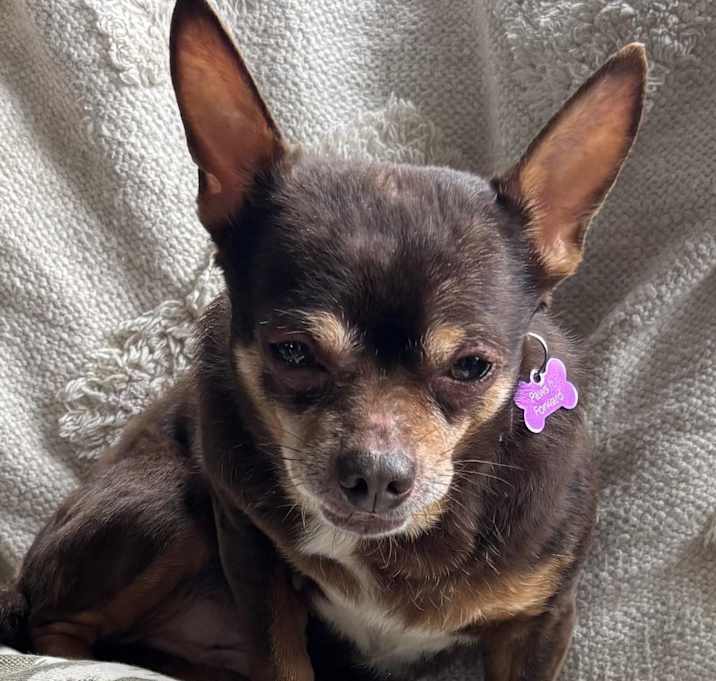 Photo of Riley