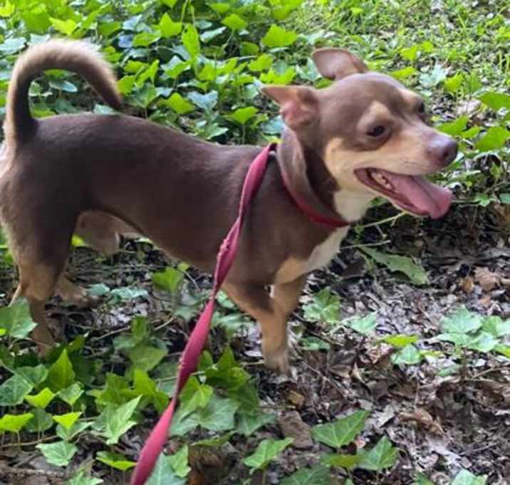 Photo of Bandit