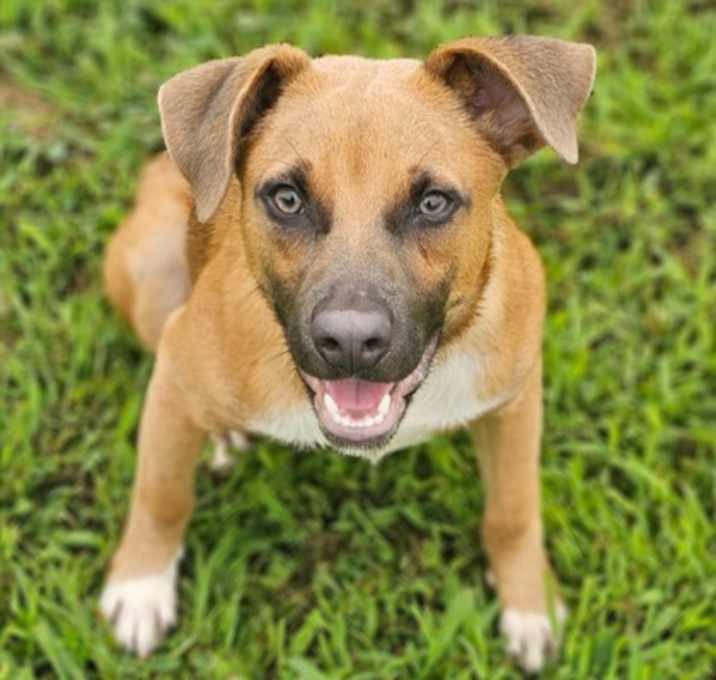 Photo of Pepito