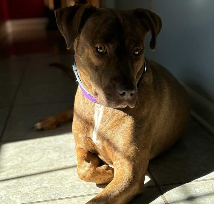 Photo of Keeva