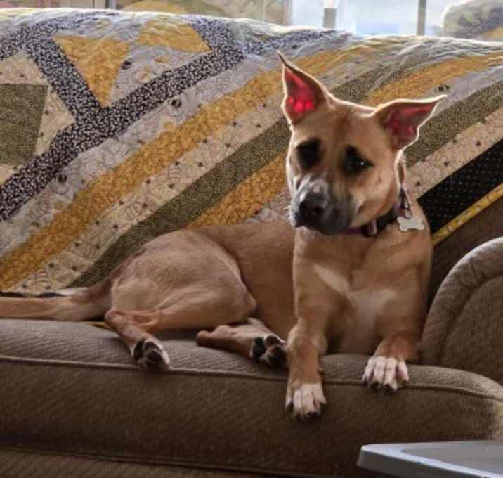 Photo of Kona
