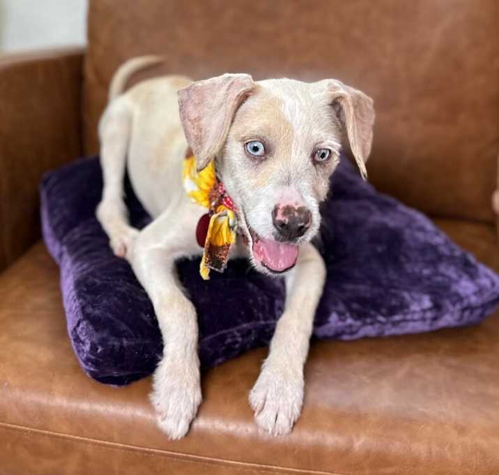 Photo of Castiel