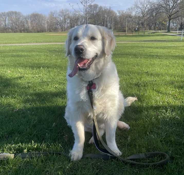 Photo of Duke