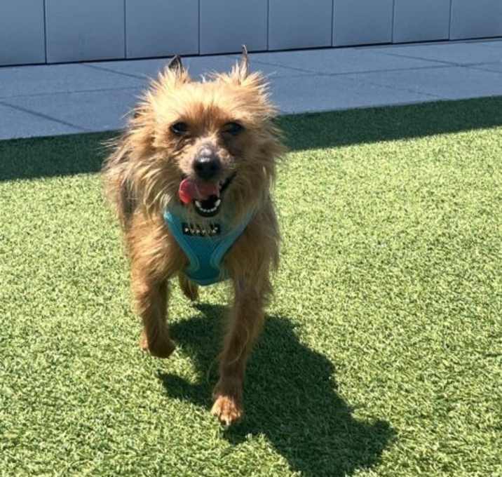 Photo of Jax