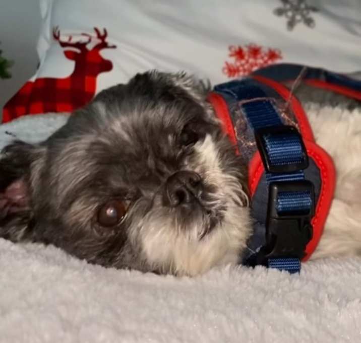 Photo of Mickey