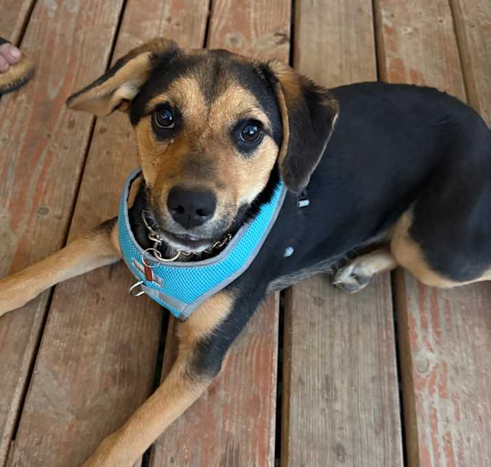 Photo of Buttons