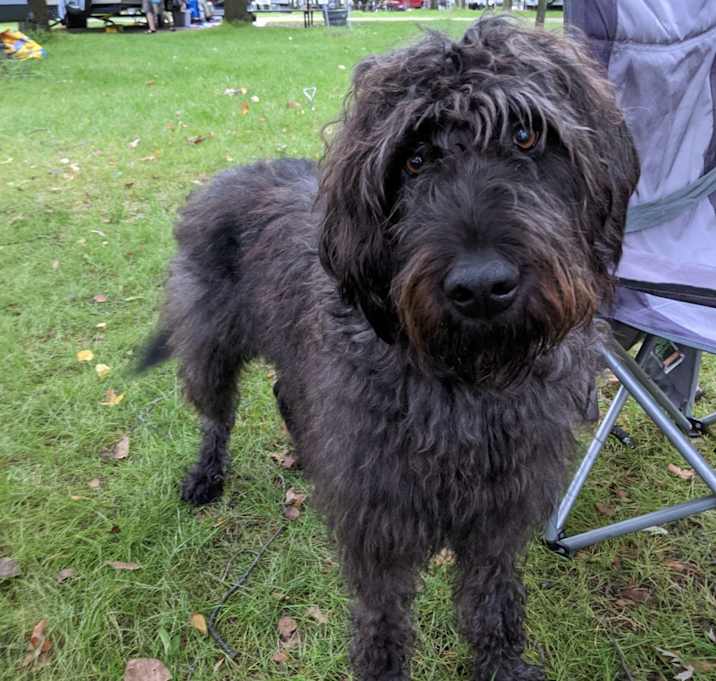Photo of Luna