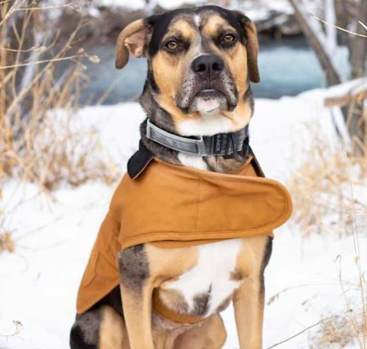 Photo of Jaxx