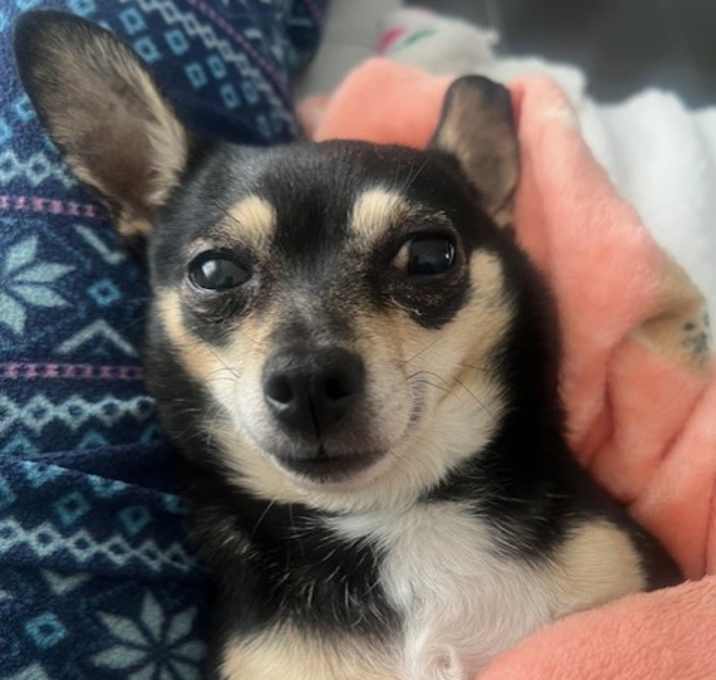 Photo of Margo