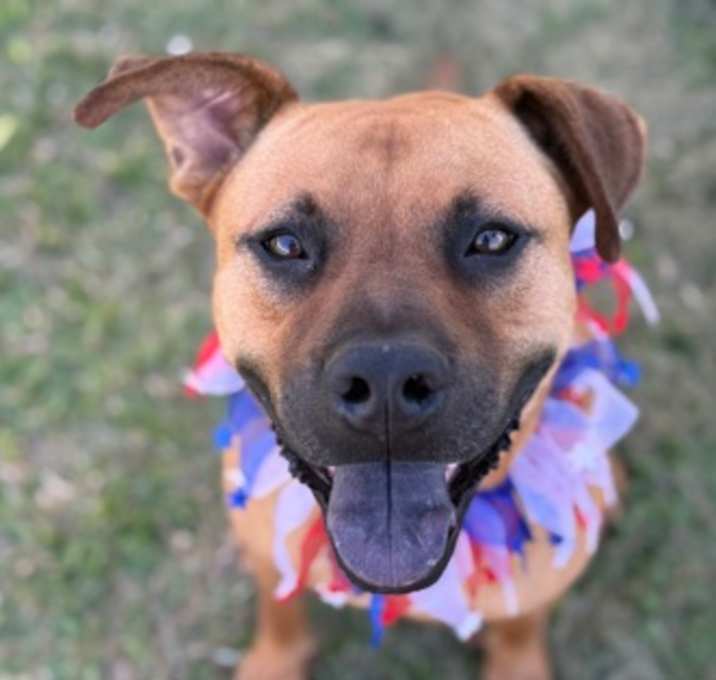 Photo of Ranger
