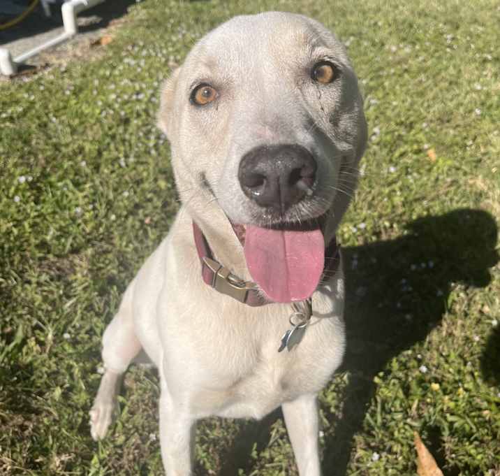 Photo of Zeus