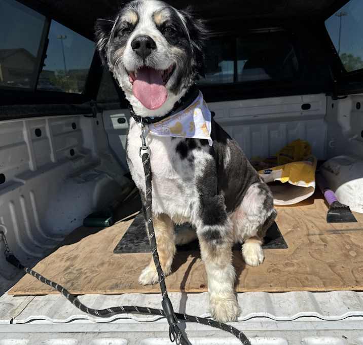 Photo of Bruno