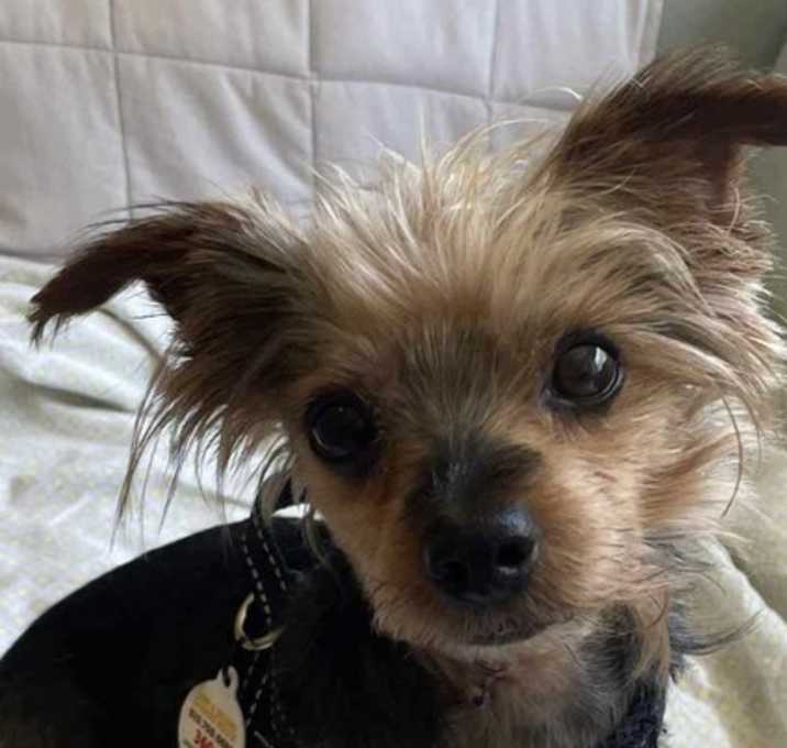 Photo of Winston