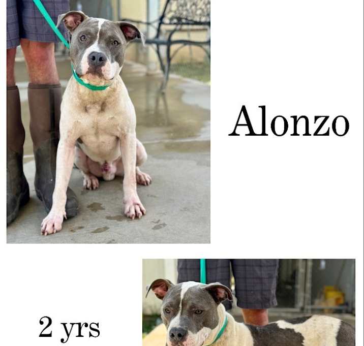 Photo of Alonzo