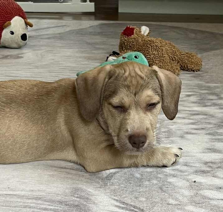 Photo of Crispy
