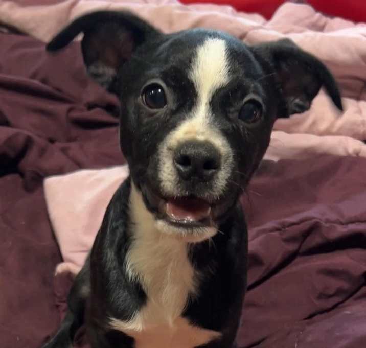 Photo of Bronx