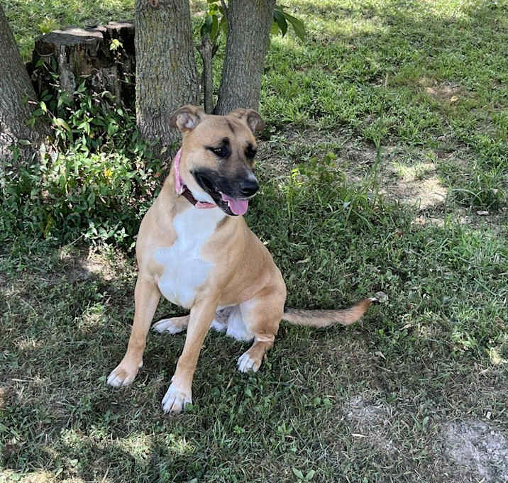 Photo of Rosie