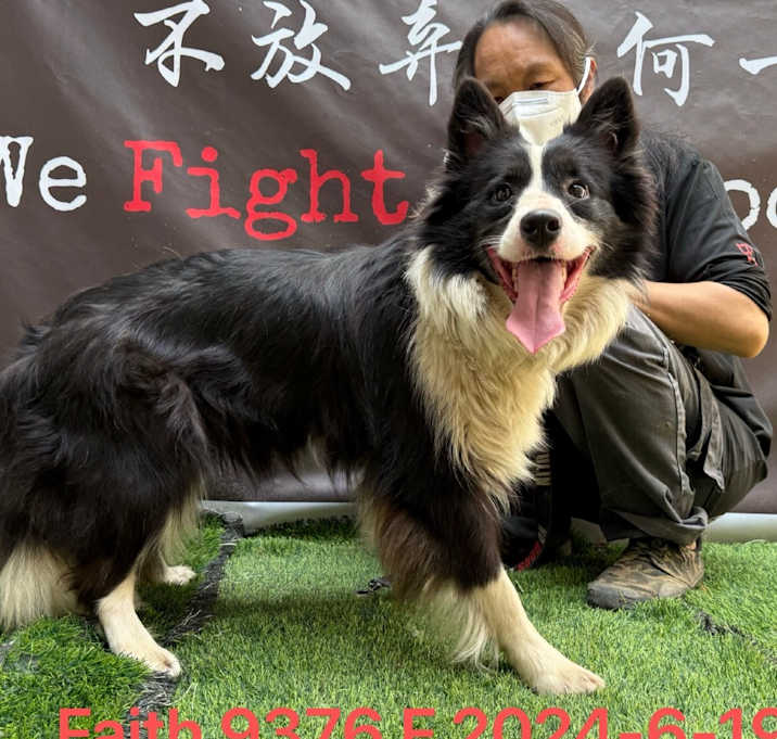 Photo of Faith 9376