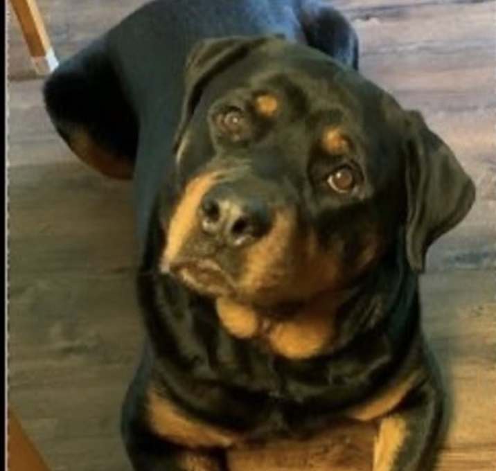 Photo of Myla