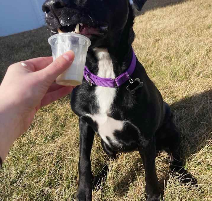Photo of Luna