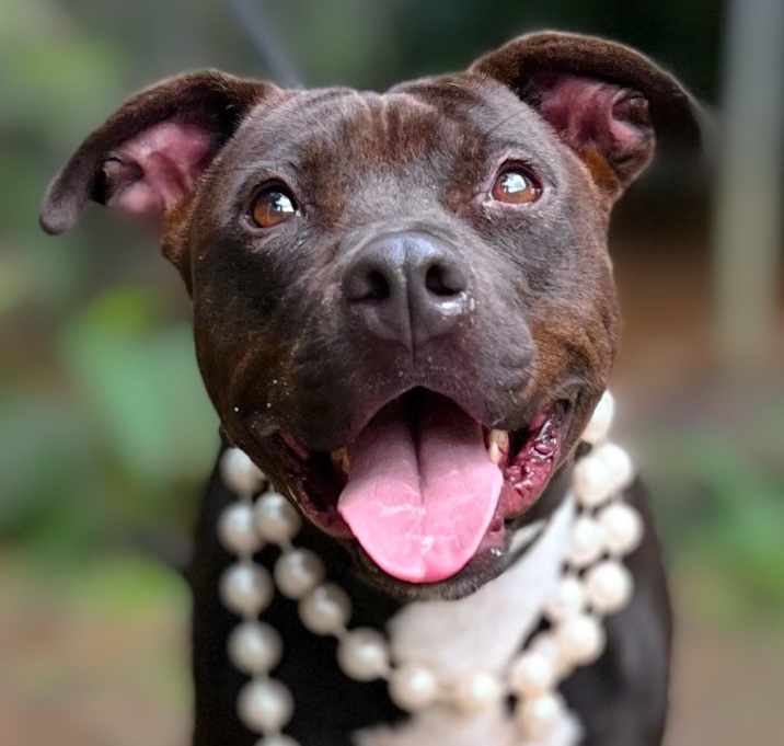 Photo of Nola