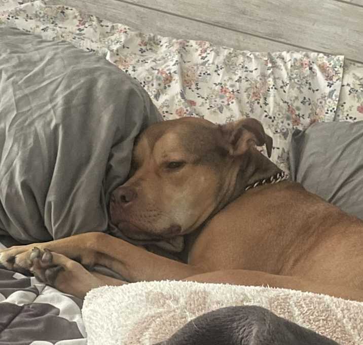 Photo of Blue