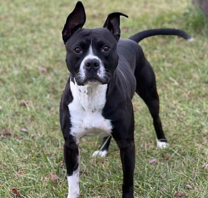 Photo of Zip