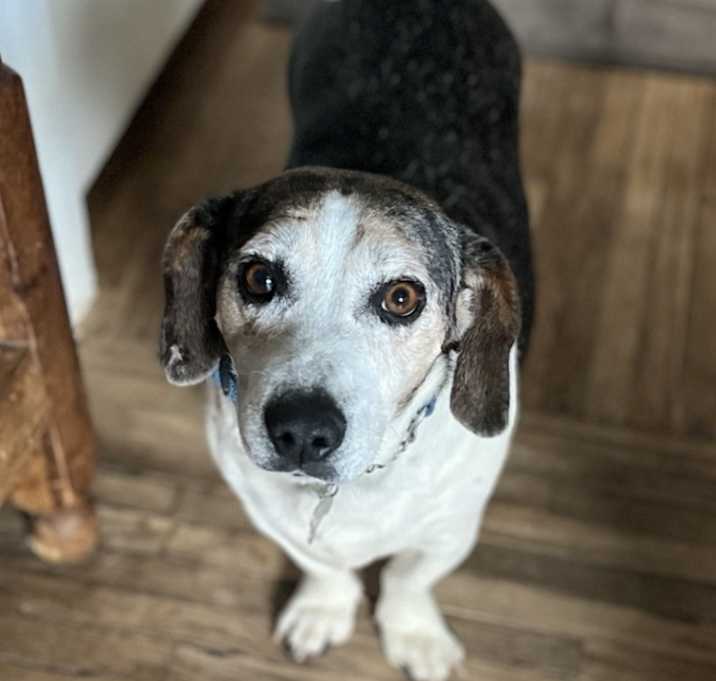 Photo of Victor aka Radar