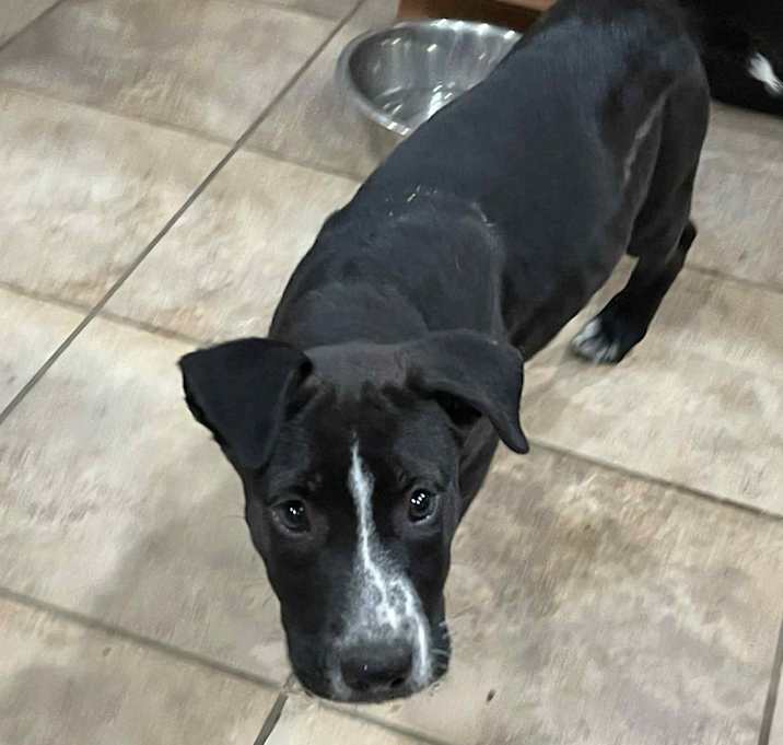 Photo of Nala Noelle CMc