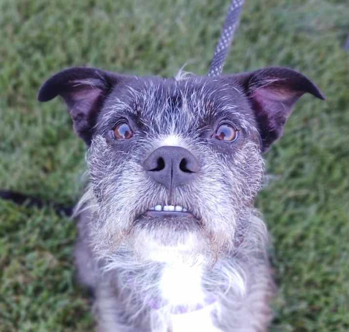 Photo of Tiny
