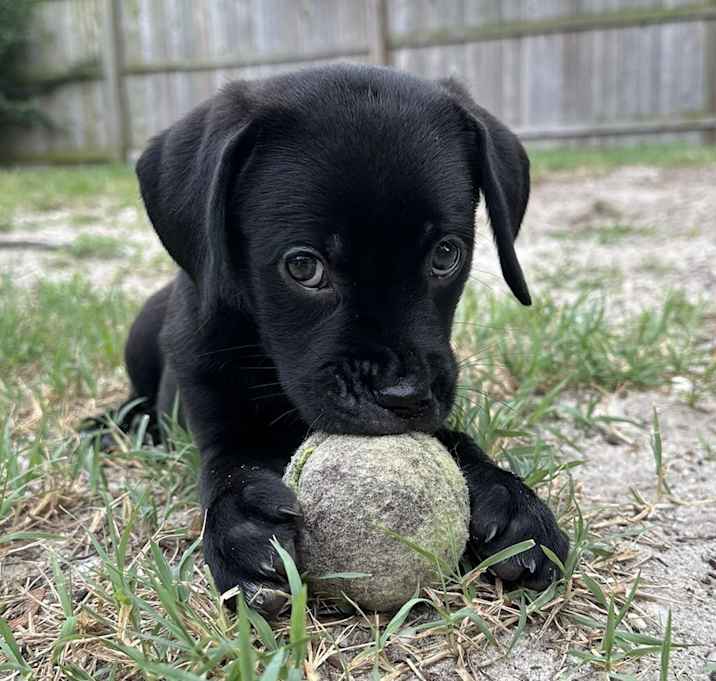 Photo of Baby Opal