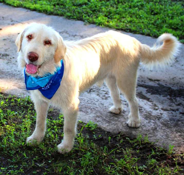 Photo of Axle